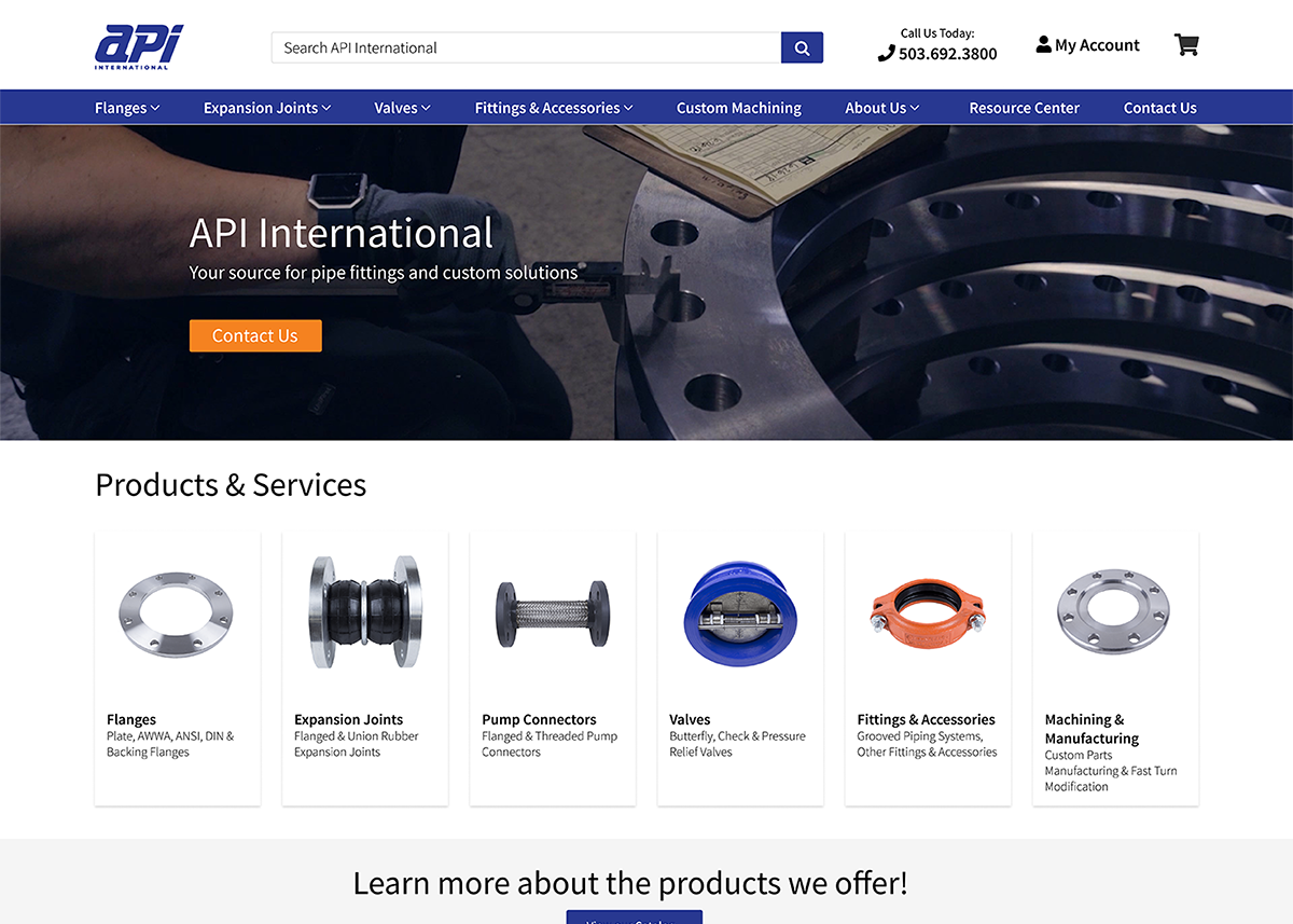 Screenshot of API International website